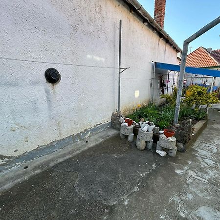 Casa Lenu & Lian Hotel Sighisoara Bagian luar foto